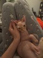 Vorschaubild 3