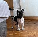 Vorschaubild 3