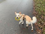 Vorschaubild 3