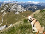 Vorschaubild 4