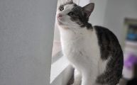 Vorschaubild 9
