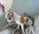 Vorschaubild 2