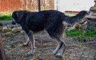 Vorschaubild 6