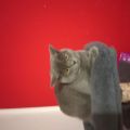 Vorschaubild 5