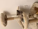 Vorschaubild 2