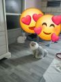 Vorschaubild 1