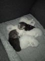 Vorschaubild 6