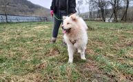 Vorschaubild 7