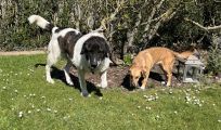 Vorschaubild 4