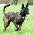 Vorschaubild 1