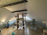 Vorschaubild 8
