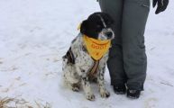 Vorschaubild 5
