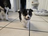 Vorschaubild 9