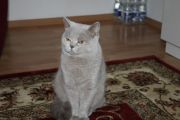 Vorschaubild 3