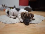 Vorschaubild 2