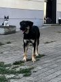 Vorschaubild 5