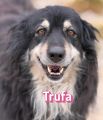 Vorschaubild 9