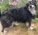 Vorschaubild 6