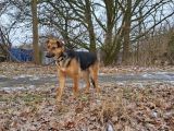 Vorschaubild 2
