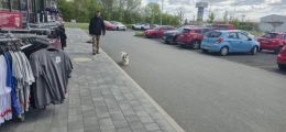 Vorschaubild 5