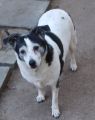 Vorschaubild 4