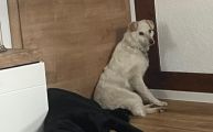 Vorschaubild 6