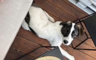 Vorschaubild 2
