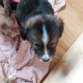 Vorschaubild 9