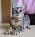 Vorschaubild 6