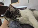 Vorschaubild 9