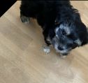 Vorschaubild 6