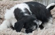 Vorschaubild 8