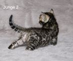 Vorschaubild 6