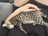 Vorschaubild 8