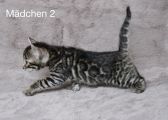 Vorschaubild 4