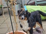 Vorschaubild 4