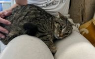 Vorschaubild 6