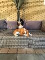 Vorschaubild 5