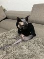Vorschaubild 1