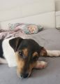Vorschaubild 8