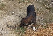 Vorschaubild 8