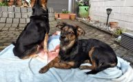 Vorschaubild 2