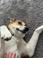 Vorschaubild 6