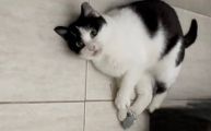 Vorschaubild 2