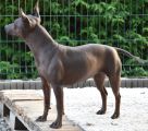 Vorschaubild 3