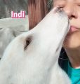 Vorschaubild 7