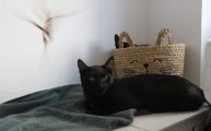 Vorschaubild 2
