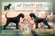 Vorschaubild 7