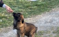 Vorschaubild 7