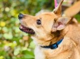 Vorschaubild 3